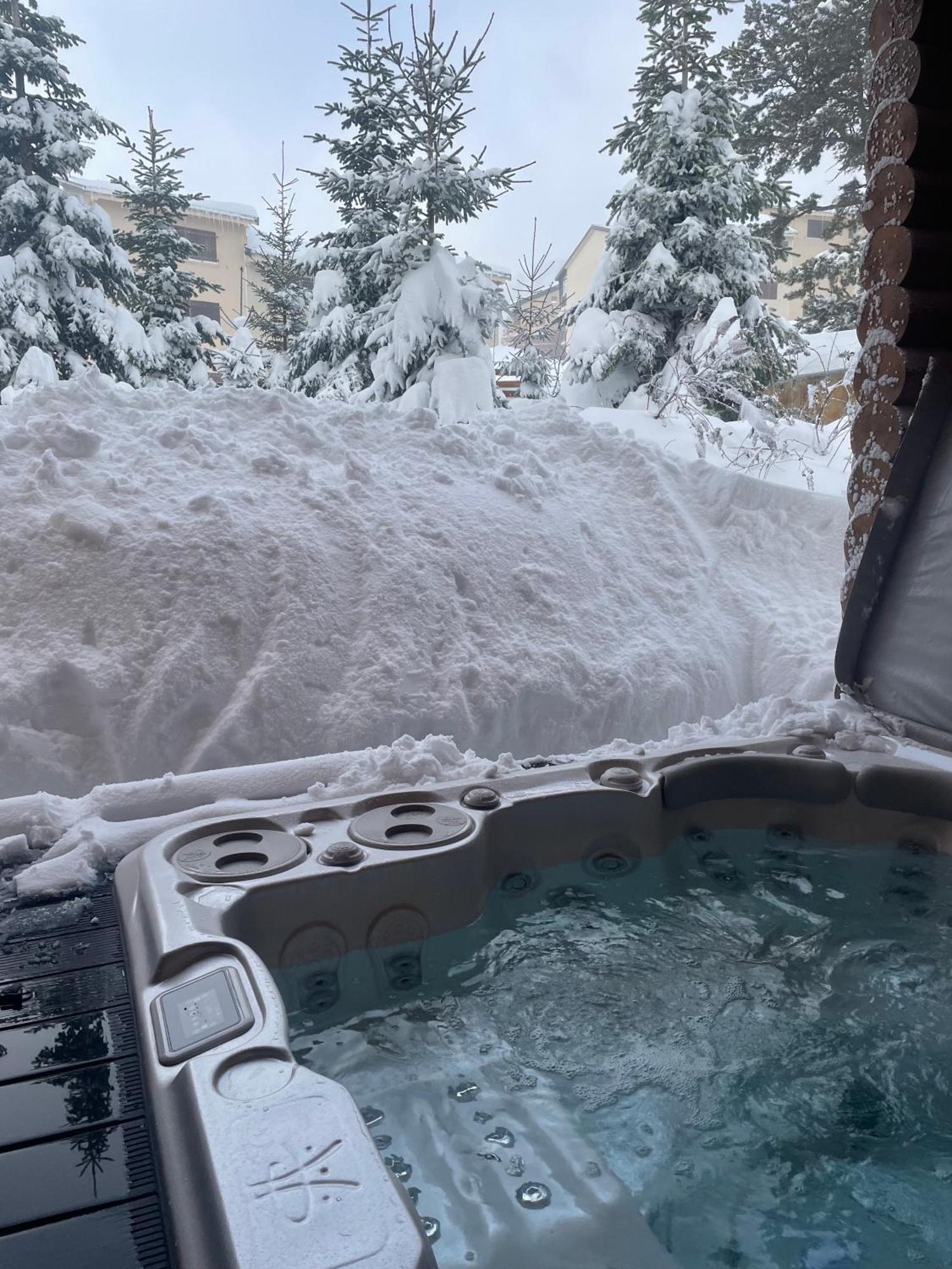 Chalet Ana & Spa レ・ザングル エクステリア 写真